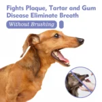 Pet Teeth Cleaning Spray Dogs Cats Dental Spray Fresh Breath