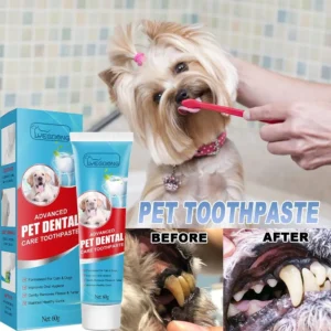 Pet Toothpaste Edible 60g for Dogs Cats Dental Care Gel